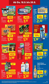 Lidl Prospekt woche 38 Seite 63