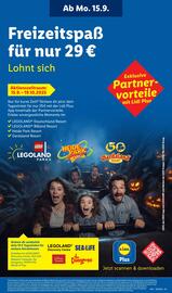 Lidl Prospekt woche 38 Seite 65