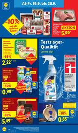 Lidl Prospekt woche 38 Seite 66