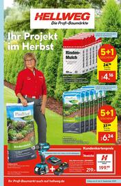 Hellweg Prospekt woche 37 Seite 1