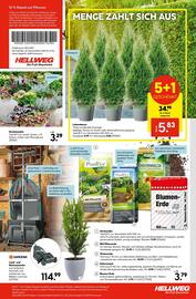 Hellweg Prospekt woche 37 Seite 19