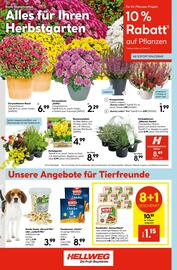 Hellweg Prospekt woche 37 Seite 20