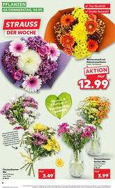 Kaufland Prospekt Seite 8