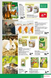 BayWa Prospekt woche 37 Seite 17
