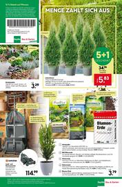 BayWa Prospekt woche 37 Seite 19