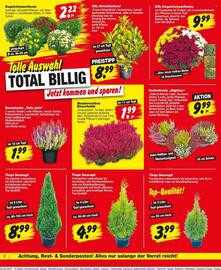 Repo Markt Prospekt woche 37 Seite 2