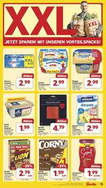 Famila Nord Ost Prospekt woche 37 Seite 17