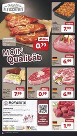 Famila Nord Ost Prospekt woche 37 Seite 8
