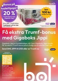 Gigaboks kundeavis uke 37 Side 8
