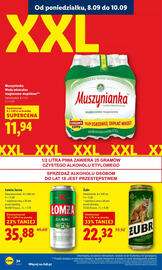 Lidl gazetka Strona 26