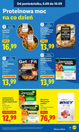 Lidl gazetka Strona 43