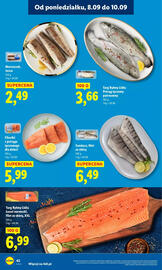Lidl gazetka Strona 44