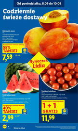 Lidl gazetka Strona 8