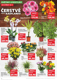 Kaufland leták týden 37 Strana 10