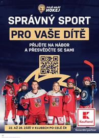 Kaufland leták týden 37 Strana 88