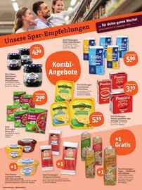 Basic Prospekt Seite 2
