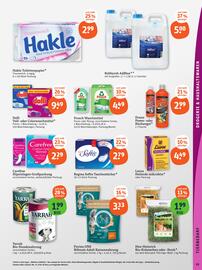 Basic Prospekt Seite 21