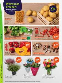 Basic Prospekt Seite 4