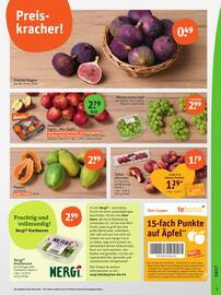 Basic Prospekt Seite 5