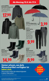 Lidl Flugblatt woche 37 Seite 31