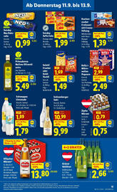 Lidl Flugblatt woche 37 Seite 13