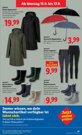 Lidl Flugblatt woche 37 Seite 31