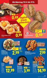 Lidl Flugblatt woche 37 Seite 37