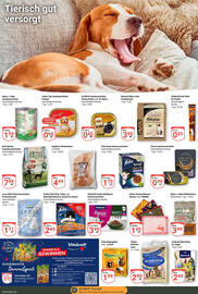 Globus Prospekt woche 37 Seite 19