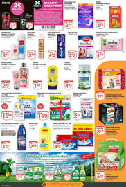 Globus Prospekt woche 37 Seite 17