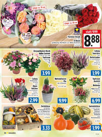 EDEKA Hahner Prospekt Seite 8