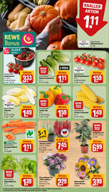 REWE Prospekt woche 37 Seite 7