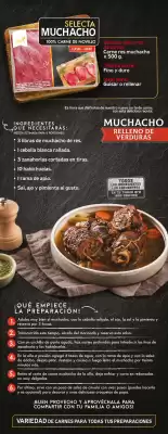 Catálogo Ara (válido hasta 13-09)