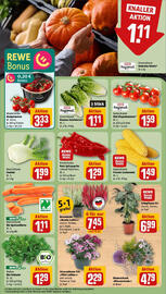REWE Prospekt woche 37 Seite 7