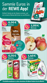 REWE Prospekt woche 37 Seite 2