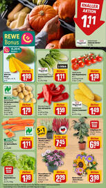 REWE Prospekt woche 37 Seite 7