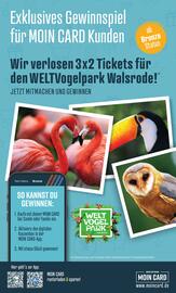 Jibi Markt Prospekt woche 37 Seite 35