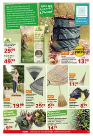 Multi Markt Prospekt woche 37 Seite 17