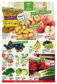 Multi Markt Prospekt woche 37 Seite 6