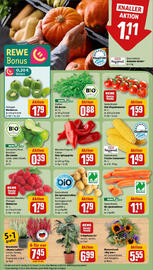 REWE Prospekt woche 37 Seite 7