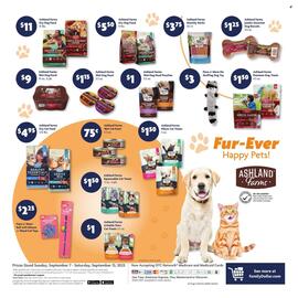 Family Dollar weekly ad week 37 Page 13