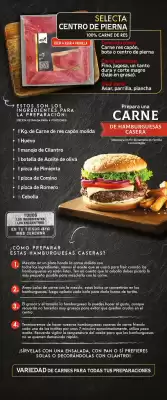 Catálogo Ara (válido hasta 9-09)