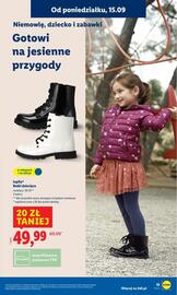 Lidl gazetka tydzień 38 Strona 17