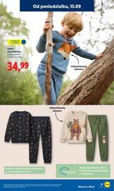 Lidl gazetka tydzień 38 Strona 19