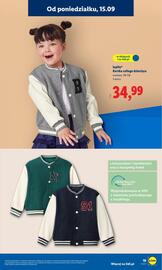 Lidl gazetka tydzień 38 Strona 21