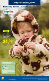 Lidl gazetka tydzień 38 Strona 24