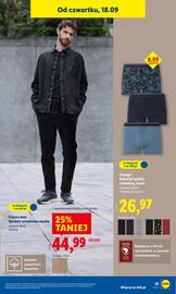 Lidl gazetka tydzień 38 Strona 31