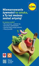 Lidl gazetka tydzień 38 Strona 53