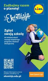 Lidl gazetka tydzień 38 Strona 55