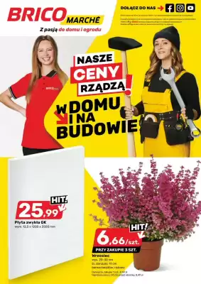 Bricomarche gazetka (ważność do 20-09)