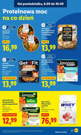 Lidl gazetka Strona 43